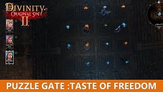 Puzzle Door Taste of freedom puzzle Divinity Original Sin 2 [upl. by Nylirrehs]