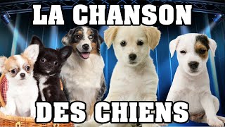 🐶 LA CHANSON DES CHIENS 🐶 [upl. by Asenad]