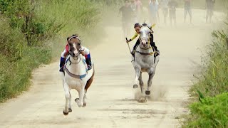 Corrida de cavalos  DESAFIO  Skoll deu 15 metros para Princesa [upl. by Ileray758]