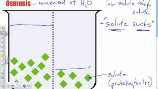 Bio B11  Osmosis Part I Passive Transport [upl. by Merriott]