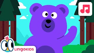 RockABye Your Bear 🐻 The Wiggles 🎶 Nursery Rhymes and Preschool Songs 🎶 [upl. by Gabriella101]