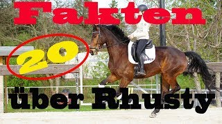 20 FAKTEN über RHUSTY  Pferdevorstellung  MA Chevaux De Sport [upl. by Airenahs]