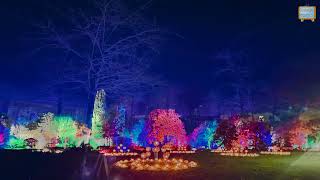 Glow At Wisley [upl. by Grayson]