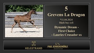 5 Grevens La Dragon [upl. by Etak]