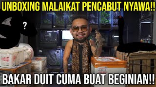 UNBOXING MALAIKAT PENCABUT NYAWA BAKAR DUIT CUMA BUAT BEGINIAN indoexotic [upl. by Clark]