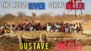 Killed 300 Humans  Rusizi River Serial Killer  GUSTAVE Crocodile [upl. by Naic]