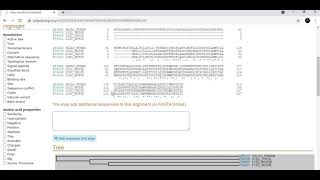 How to align Protein sequences  Phylogenetic relationship  UniProt 2 Bioinformatics [upl. by Khai645]