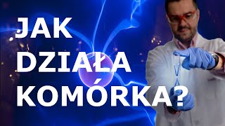 Jak działa komórka Organella komórkowe Wprowadzenie do tematu biologii komórki nauka [upl. by Akired]