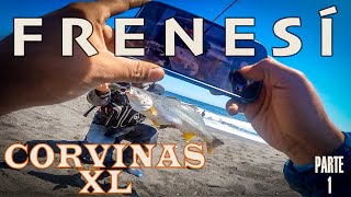 FRENESÍ de Corvinas XL  Sur de Chile 🇨🇱 PARTE 1 [upl. by Osugi]