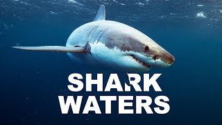 The Dangerous Thrill Of Diving Into Shark Infested Waters  Shark Divers  Wild Waters [upl. by Eshelman]