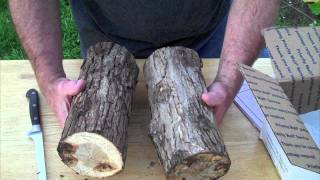 UNBOXING  SHIITAKE MUSHROOM LOG KIT [upl. by Eisse494]