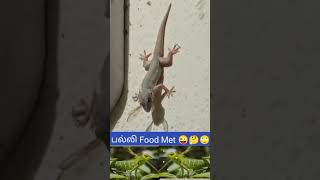 Palli Food Met quotShort Tamil [upl. by Carver]