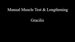 Manual Muscle Test amp Lengthening  Gracilis [upl. by Tobi428]