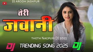 2025🔹 तेरी जवानी🔹New Nagpuri Dj Song🔹New Nagpuri Song 2025🔹Nagpuri Dj Remix🔹New Nagpuri Video 2025 [upl. by Anwad334]