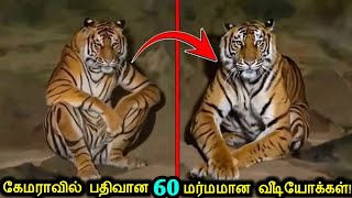 👻கேமராவில் பதிவான 60 மர்மமான வீடியோக்கள்😨  Creepy Videos Caught On Camera  Tamil Ultimate [upl. by Aleakim]