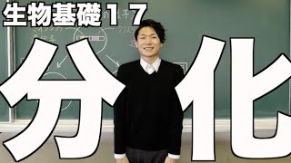 【生物基礎17】細胞分化について [upl. by Myrvyn]