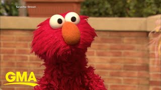 Elmo’s feud with a pet rock goes viral l GMA [upl. by Mines]