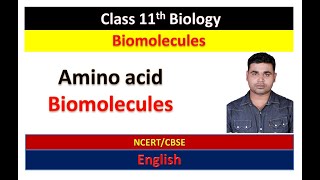 Amino Acid  Biomolecules  Class 11 Biology Chapter 9 [upl. by Tnahs]