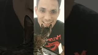 Kangetin Si Empus🤣shorts funnyvideo funnycats [upl. by Candra]