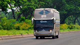 ENA Scania K360 High deck Legacy SR2 XHD Laksana made Bus live in Dhaka 2019 [upl. by Suhpoelc805]