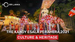 The Kandy Esala Perahera  So Sri Lanka [upl. by Liahcim]