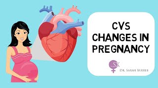 Cardiovascular Changes in Pregnancy [upl. by Xena]