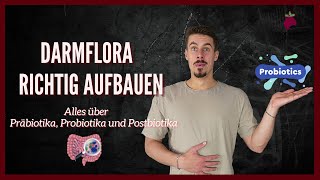 Darmflora Gesund Aufbauen  Alles über Präbiotika Probiotika amp Postbiotika [upl. by Shulins316]