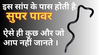 दुनिया का सबसे छोटा वा अनोखा सांप। Brahminy worm snake has supper power [upl. by Dranyl]