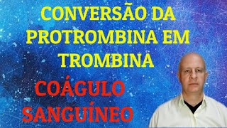 Conversão da protrombina em trombina Coagulação sanguínea [upl. by Goss]