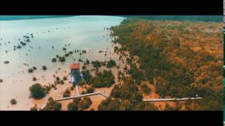 Cinematic Look Hutan Mangrove Karimunjawa [upl. by Nerte228]