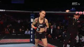 Cris Cyborg vs Amanda nunes luta completa [upl. by Ainahs]