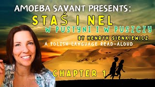 Ch 1 Stas i Nel  Polish Language Audiobook [upl. by Enneire]