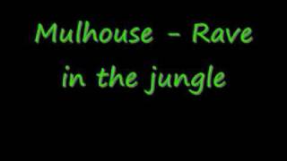 Mulhouse  Rave In The Jungle [upl. by Neved]