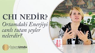 Chi nedir Ortamdaki enerjiyi canlı tutan şeyler nelerdir [upl. by Jonis]