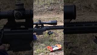 Tikka Tac A1 longrangeshooting tikka ozziereviews 223 gun longrange target [upl. by Ynamreg476]