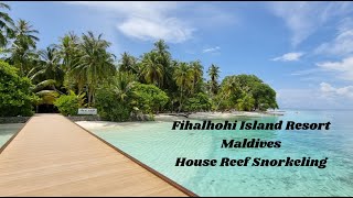 Fihalhohi Maldives Snorkeling Insights From The House Reef [upl. by Suirradal991]