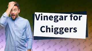 Does vinegar work on chiggers [upl. by Mora]