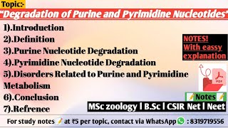 Degradation of Purine and Pyrimidine Nucleotides  Biochemistry [upl. by Kironde]