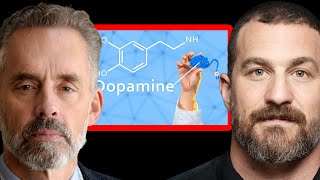 The Dopamine System and the Danger of Hope Jordan Peterson and Andrew Huberman [upl. by Anoo832]