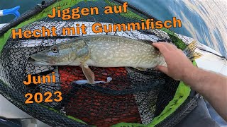 Angeln auf Hecht mit Gummifisch im Juni  Tipps [upl. by Lock]