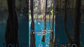 3 Amazing Cenotes In Mexico shorts [upl. by Travus670]