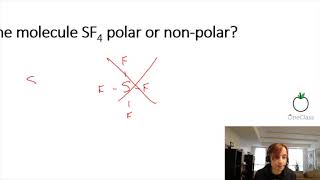 sf4 polar or nonpolar [upl. by Huff]