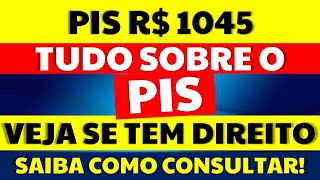 1045 PIS VEJA QUEM TEM DIREITO COMO CONSULTAR TUDO SOBRE O PIS CALENDÁRIO PIS PASEP 2020 2021 [upl. by Kcirred959]