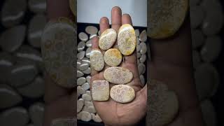 Fossil coral gemstone available for sale gemstone fossilcoral fossilgemstone gemstonecabochon [upl. by Hovey]