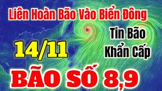 Dự báo thời tiết hôm nay ngày mai 14 tháng 11 năm 2024  Tin bão Số 89  thời tiết 3 ngày [upl. by Phillips920]