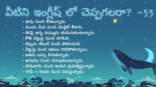 SPOKEN ENGLISH THROUGH TELUGU BY AANGLA SAMHITA 55 [upl. by Catlaina]