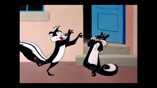 Penelope Pussycat amp Pepé Le Pew Wooing Compilation  Looney Tunes [upl. by Yerffej68]