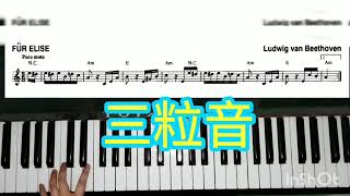 給愛麗絲 Fur Elise 教學免費自學鋼琴教學Ep56  樂譜 [upl. by Cantone]