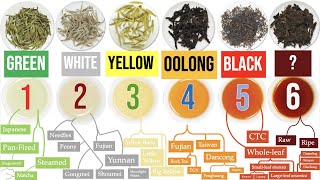 Discover the 6 Tea Types and a WORLD of Awesome Tea SubTypes  Masterclass on Tea Ch 1 of 8 [upl. by Yrolg]