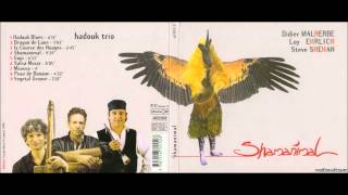 Hadouk trio – Shamanimal [upl. by Nosnorb526]